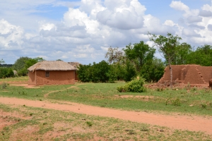 Typical village